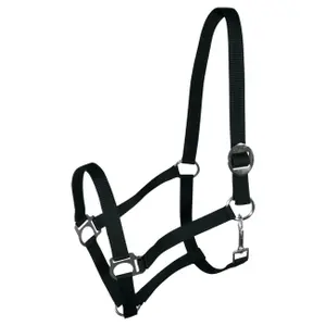 Halter for horse York Harmony image-0