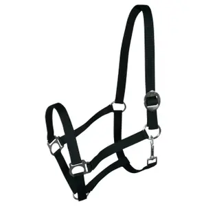 Halter for horse York Harmony image-0
