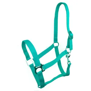Halter for horse York Harmony image-0