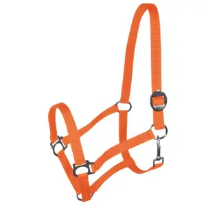 Halter for horse York Harmony image-0