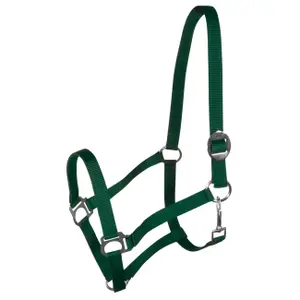 Halter for horse York Harmony image-0