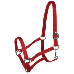 Halter for horse York Harmony image-0