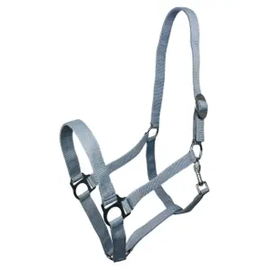 Halter for horse York Harmony image-0