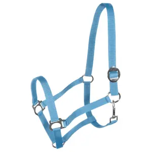 Halter for horse York Harmony image-0