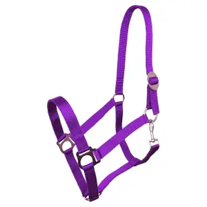 Halter for horse York Harmony image-0