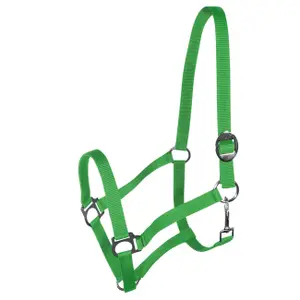 Halter for horse York Harmony image-0