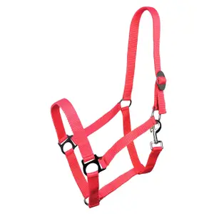 Halter for horse York Harmony image-0