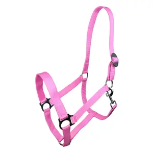 Halter for horse York Harmony image-0