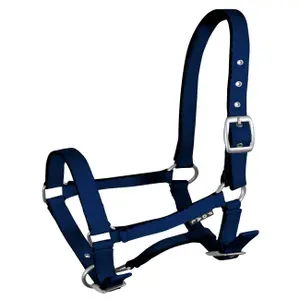 Halter for horse York Tobi image-0