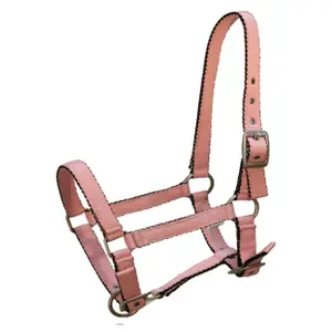Halter for horse York Tobi image-0
