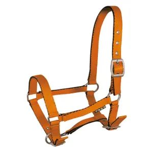 Halter for horse York Tobi image-0