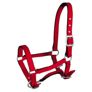 Halter for horse York Tobi image-0