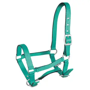 Halter for horse York Tobi image-0