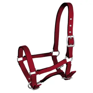 Halter for horse York Tobi image-0