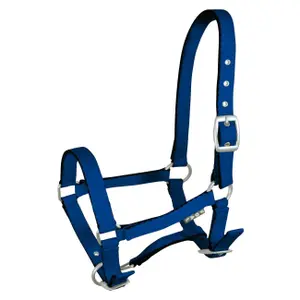 Halter for horse York Tobi image-0
