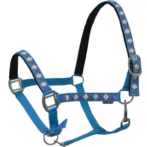 Halter for horse York Kimi image-0