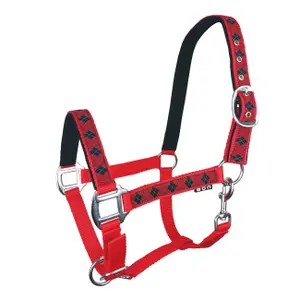 Halter for horse York Kimi image-0