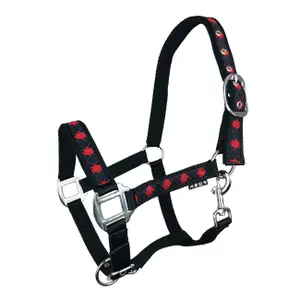 Halter for horse York Kimi image-0
