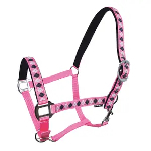 Halter for horse York Kimi image-0