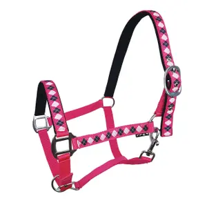 Halter for horse York Kimi image-0