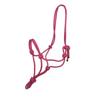 Halter for horse York Spirit image-0