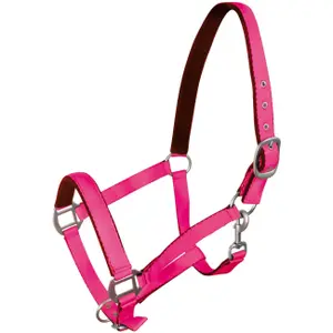 Halter for horse York image-0
