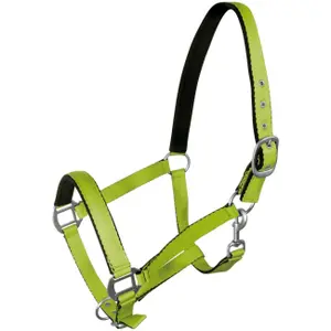 Halter for horse York image-0