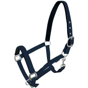 Halter for horse York image-0