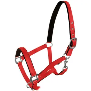 Halter for horse York image-0