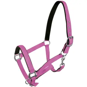 Halter for horse York image-0