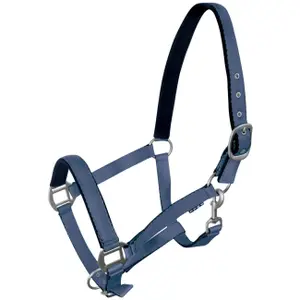 Halter for horse York image-0