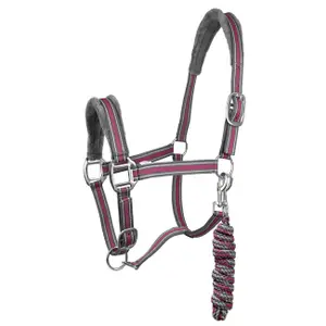 Halter and lead rope set for horse York Calipso image-0