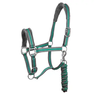 Halter and lead rope set for horse York Calipso image-0