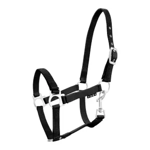 Halter for horse York image-0