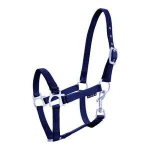 Halter for horse York image-0