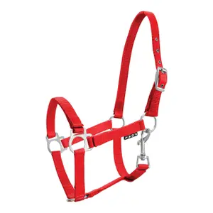Halter for horse York image-0