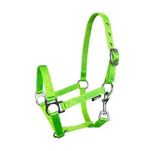 Halter for horse York image-0