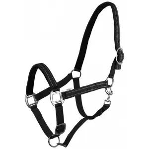 Halter for horse York Teo image-0