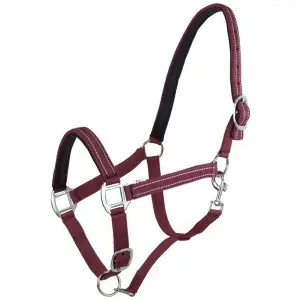Halter for horse York Teo image-0