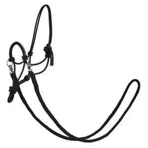 Halter for horse York Zirco image-0