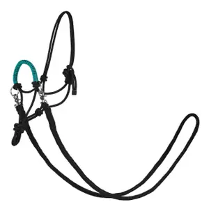 Halter for horse York Zirco image-0