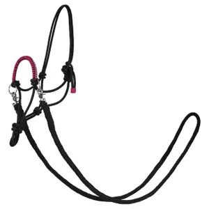Halter for horse York Zirco image-0