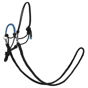 Halter for horse York Zirco image-0