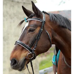Riding bridle York Alexis image-2