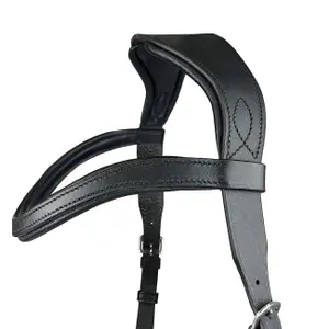 Riding bridle York Idalia image-3