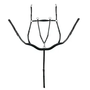 5-point saddle strap for horse York Eddy image-0