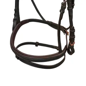 Riding bridle York Gemma image-2