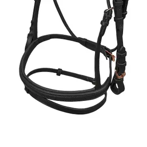 Riding bridle York Gemma image-2