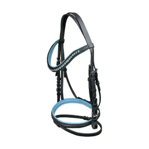 Riding bridle York image-0