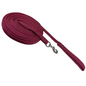 Lonża dla konia York Stripe